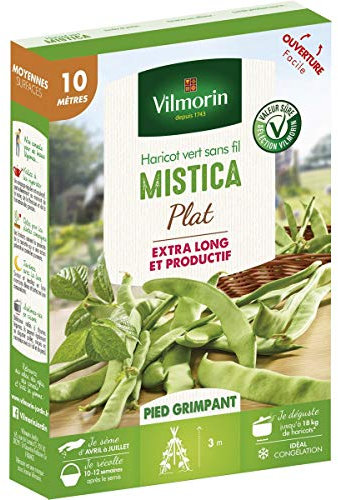Vilmorin - Graines de Haricot vert sans fil MISTICA plat - 10 mètres - vilmorin