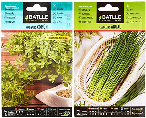 Orégano - Origanum vulgare & Cebollino anual