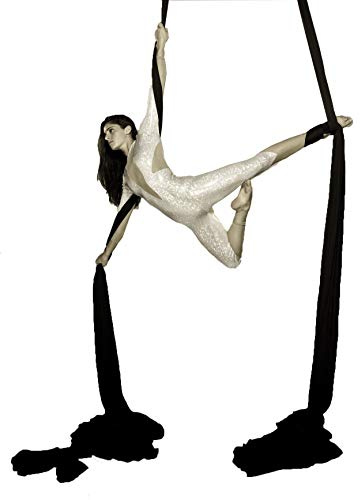 F.Life Aerial Silks 13 Yards Hardware Kit Medium Stretch Aerial Yoga Hammock Acrobatics - Swivel 360 Spin Equipment Height Adjustment Strap, Portable Storage (Black)