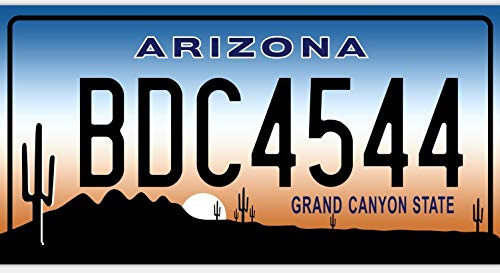 OPO 10 - Plaque D' IMMATRICULATION de Voiture USA - réplique en métal 30x15 cm : Arizona (8187)