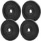 KK Hantelscheiben-Set, 2.5 cm Gusseisen, 2 x 5 kg, Hantelscheiben für Zuhause oder Fitnessstudio Training