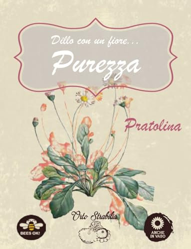 Semi di Pratolina, semi di Margherita di campo, bellis perennis, semi rari, semi strani