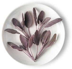 Fresh Herb Tops - Purple Sage - 4-3oz Container (Average 50 Pieces Per Container)