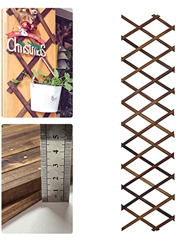 Reagia ClôTure de Jardin Murale en Treillis en Bois, Cadre de Suspension Extensible pour Plantes, Treillis de Support pour Plantes, ClôTure, DéCoration Murale pour PièCe, Patio, Jardin - 1CM