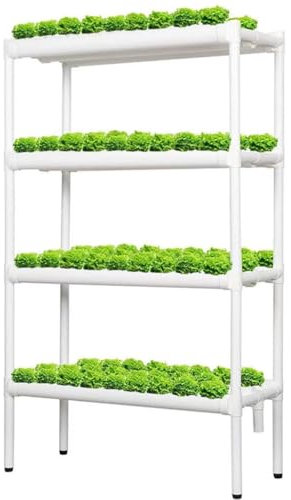 WLCNYL Culture hydroponique,4 Couches 72 Sites Kit de Culture de site hydroponique Kits et systèmes pour Cultures hydroponiques pour légumes à Feuilles