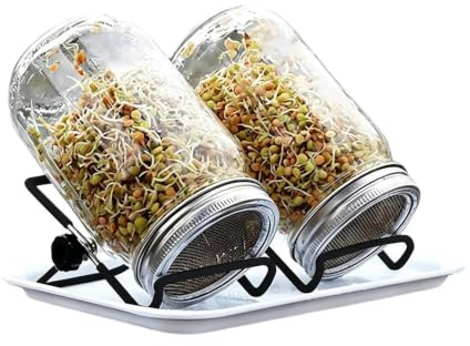 Generiskt glas-set, hälsosam odling – groddodlingssats – för självförsörjande och hälsomedveten, för köksbänk, förvaringsskåp, kontor, fönsterbräda,