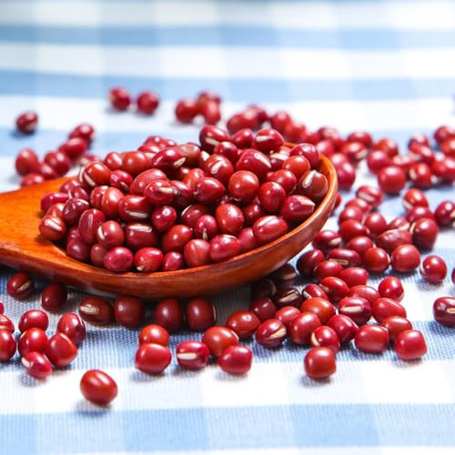 semillas de frijol azuki - raras de frijol rojo, decoración de jardín exterior, 125pcs