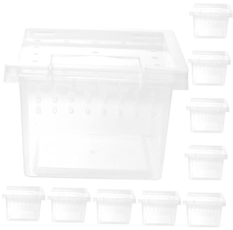 Toyvian 10pcs Plastic Insect Feeding Boxes Habitat Enclosures Ventilation for Spiders Geckos Lizards Beetles Reptile Breeding and Transport