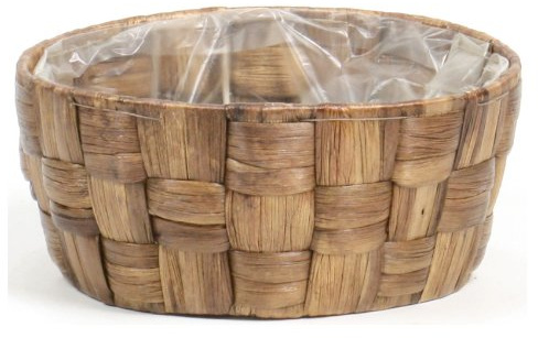 Hyacinth Round Parrot S Tea