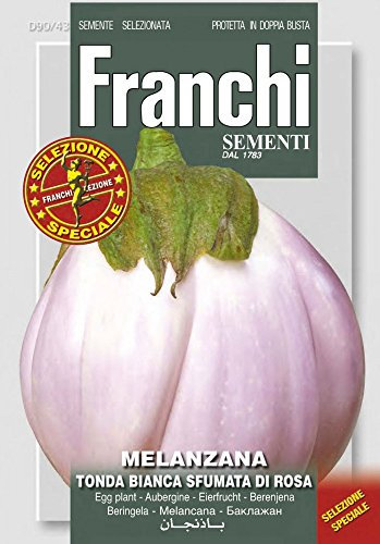 SEMENTI DA ORTO DI QUALITA' AD USO HOBBYSTICO IBRIDE E SELEZIONI SPECIALI IN CONFEZIONE PROTETTA IN DOPPIA BUSTA (MELANZANA TONDA BIANCA SFUMATA DI ROSA)