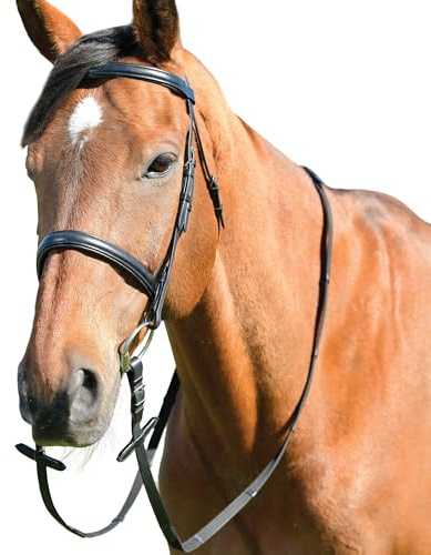 Kincade Classic Plain Raised Cavesson Bridle with Reins, Black, Full