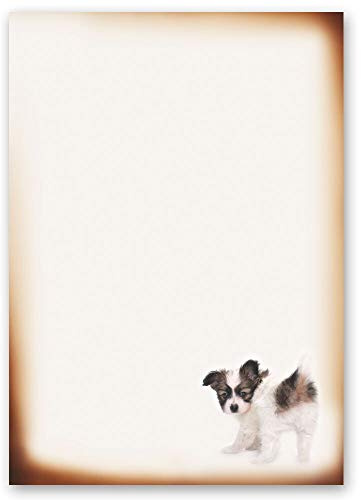 50 Sheets Motif Letter Paper! Animals Funny Puppy DIN A4 - Paper-Media