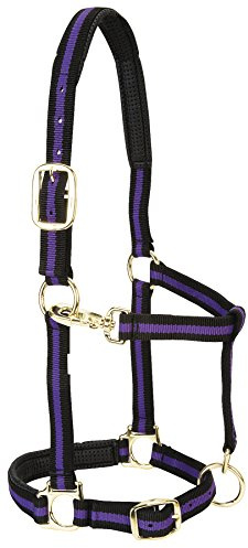 Weaver Leather Cavezza imbottita regolabile in nylon, viola, 2,5 cm, cavallo piccolo