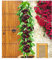 BALDUR Garten Säulenkirsche 'Garden Bing®', 1 Pflanze,Kirschbaum, Prunus avium, winterhart, platzsparende Säule für kleine Gärten, Balkone & Terrassen