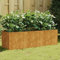 CIADAZ Jardinera Acero corten 120x40x40 cm, Huerto Urbano Terraza, Jardineras Exterior, Jardineria Maceteros, Mesa De Cultivo, Huerto En Casa 824520