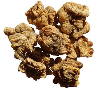 Betterave Fourragère Jaune de Vauriac - 100 grammes - Beta Vulgaris - SEM20