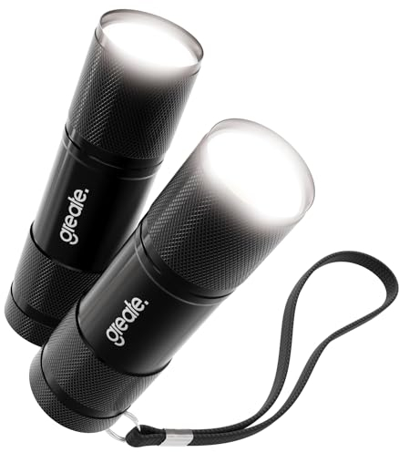 greate 2x mini Lampe de poche LED petite et puissante pour sac à main incl. piles - Lampe torche enfant en aluminium fonctionnant sur piles avec 175 lumens - Mini lampe torche pour enfants et adultes