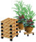 BigDean 5x Pflanzenroller eckig Buchenholz massives Holz 30 x 30 cm bis 120 Kg Rolluntersetzer