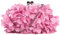 Women Elegance Floral Clutch Purse Kiss Lock Evening Handbag Girls Chain Crossbody Bag