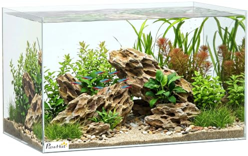 PawHut 43L Fish Tank with Protective Base Mat, Transparent, 50 x 30 x 30 cm