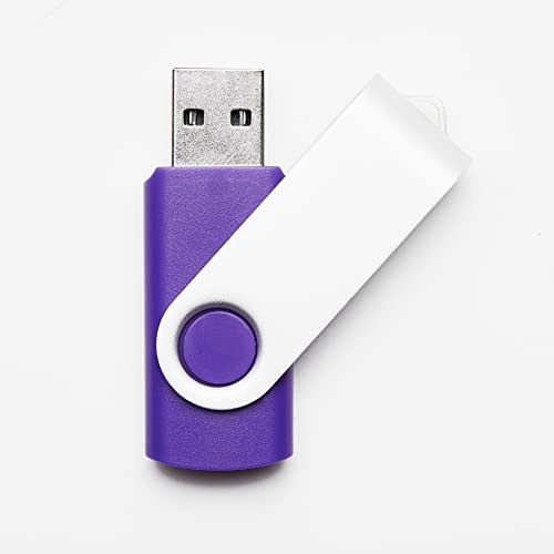 Memoria USB 2.0 de 1 GB, color morado