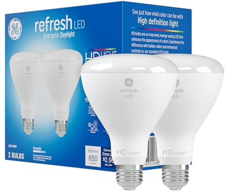 GE Refresh LED Light Bulbs, 65 Watt, Daylight, BR30 Indoor Floodlights (2 Pack)