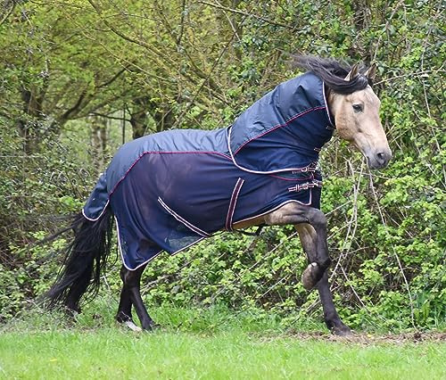 Rhinegold Mombasa Fly Rug + Neck Cover-6/3-Navy