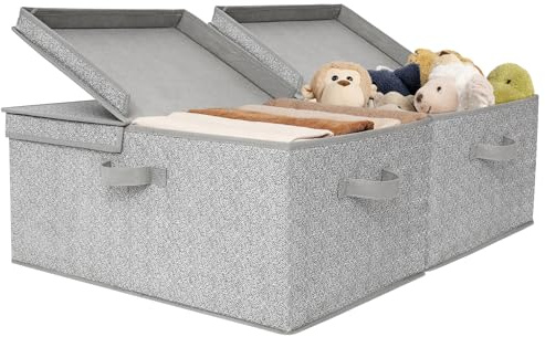 GRANNY SAYS Cajas de Almacenaje Grande con Tapa, Set de 2 Cestas Almacenaje Grandes de Tela con Tapa, Caja de Almacenaje para Estanterías de Armario, Cesta de Almacenaje Gris para Organizar la Ropa