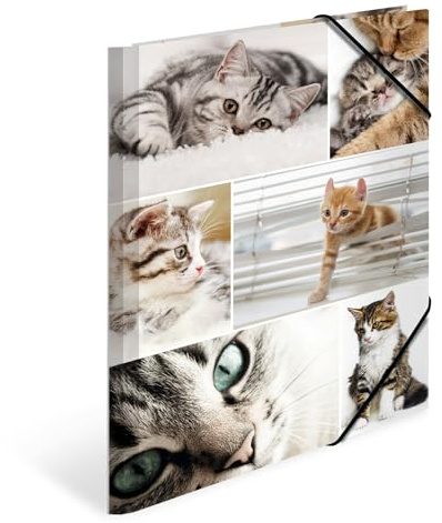 HERMA 19212 Carpetas A4 animales gatos 3 unidades niños carpeta de cartón con impresión interior y goma elástica, juego de carpetas de cartón para niños y niñas