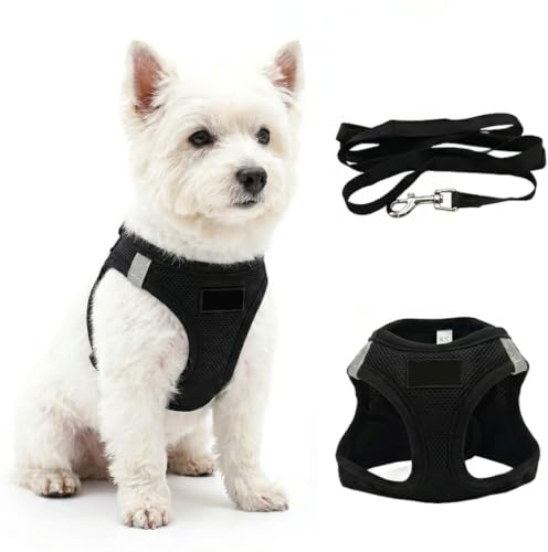 ZenithCove Harnais Petite Chien avec Laisse, Harnais Chiot Anti Traction