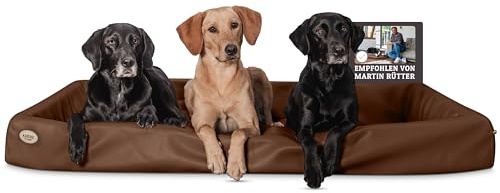 SABRO KUDDE Orthopädisches Hundebett – Martin Rütter – Hochwertiges Kunstleder – Waschbar & Wasserabweisend – Ergonomisch – Premium Haustierzubehör für Grosse Hunde XXL in Braun