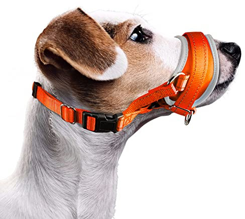Nasjac Maulkorb für Hunde, Verstellbare Weicher Nylon maulkorb um Beißen zu verhindern Anti-Bellen Stoppen Sie das Kauen Essen Atmungsaktiv Hundemundschutz für kleine Hunde