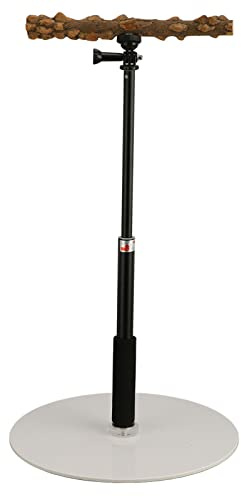 Soporte de Percha de Entrenamiento para Loros, Percha de Pie para Pájaros Desmontable Al Aire Libre con Altura Ajustable de 37 Pulgadas, Base, Soporte de Viaje para Juegos de Pájaros para Conure