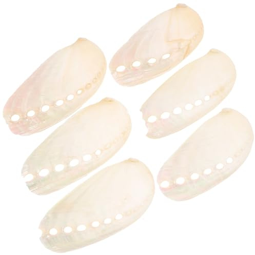SECFOU 6 Pièces de Coquillages D'ormeau Naturel Beige Style Plage en Coquille Shell Côtier pour Décoration Maison et Ornements D'aquarium