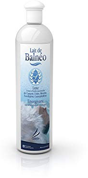 Camylle - Leche de Baño Luxe - Emulsión de Aceites Esenciales para Baños de Hidroterapia, Baños de Burbujas y Pediluvios - Energizante con aromas frescos y hechizantes - 250ml