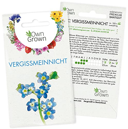 Vergissmeinnicht Samen: Premium Vergissmeinnicht Blumen Samen für ca. 100 blühende Vergiss Mein Nicht Pflanzen mehrjährig – Blumensamen Vergissmeinnicht Saatgut – Vergiss Mein Nicht Samen von OwnGrown