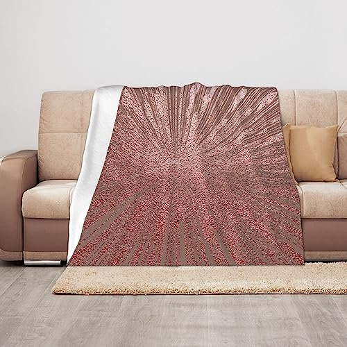 ASEELO 125x100cm Blanket Rose Gold Pink Fleece Blanket Sofa Throw for Bed and Couch Travel
