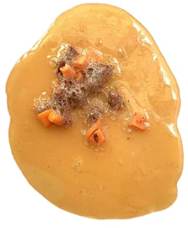 Sharplace Neuartiges Kotzspielzeug, lustiges Scherzspielzeug, falsches Kotzspielzeug für Halloween, Aprilscherz, Party, Büro, Bar, Kneipe