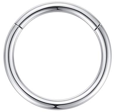10g Hoop Nose Rings for Men and Women 10mm 10 Gauge Nose Ring Hoop Silver Septum Clicker Hinged Ring 316L Surgical Steel Body Piercing Earrings for Cartilage Helix Ear Lobe Daith Rook Conch Tragus