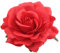 Flower Hairpin Wedding Sweet Rose Bila per la festa Accessori per clip Accessori per fiode Redflower
