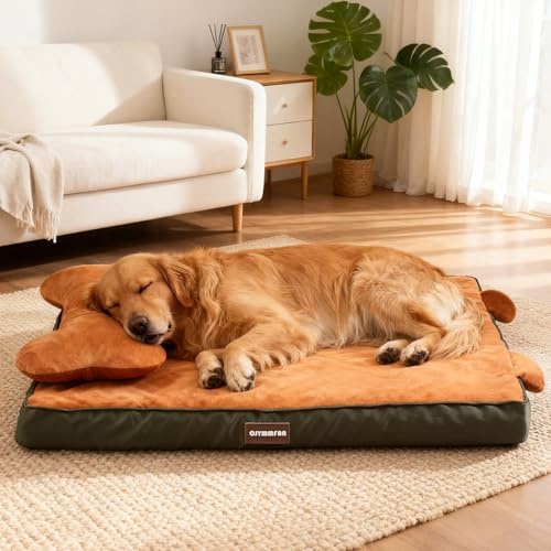 Panier Orthopédique Chien avec Bolster Tête Amovible, Lit Lavable avec Mousse Alvéolée, Coussin Chien Imperméable pour Soutenir Tête et Articulations, Matelas Chien avec Oreiller et Fond Antidérapant