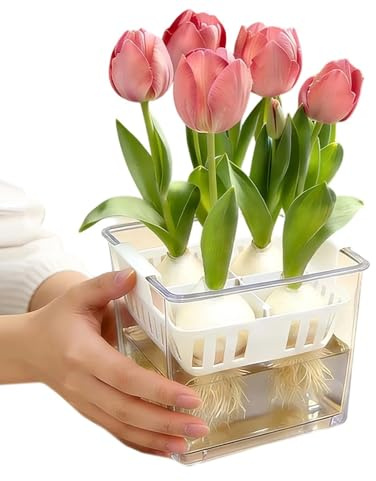 Hydroponiska Krukor Enkel blomsterodling