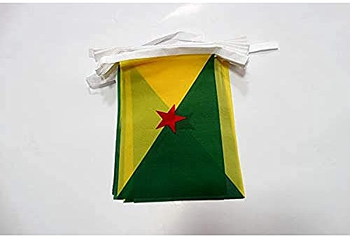 AZ FLAG - Guirlande Drapeau Guyane française - 6 Mètres Avec 20 Fanions Guyanais - France De 21x14 cm - Petits Drapeaux 100% Polyester - 60g