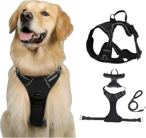 Fellstern - Imbracatura anti-tiraggio per cani con design step-in, traspirante e imbottita, per una passeggiata rilassata, controllo senza tirare, per cani di qualsiasi taglia