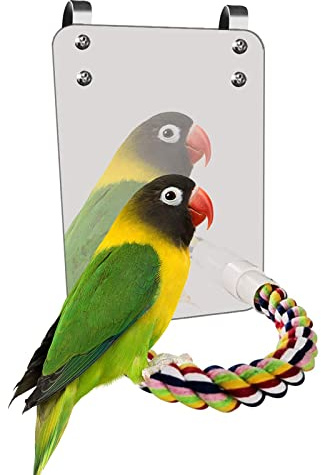 Esoes - Giocattolo a specchio per uccelli, con corda, grande specchio e supporto a forma di barra per pappagalli, pappagalli, parrocchetti, calopatiel, conure, fringuello, grigio africano