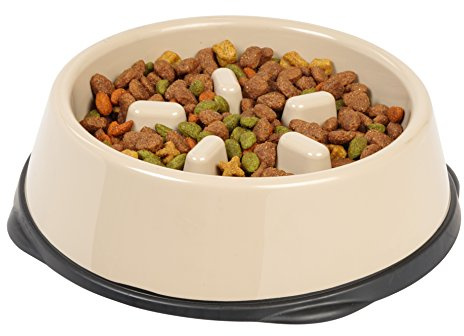 IRIS USA 4-Cup Slow Feeder Bowl, Anti-Choking & Anti-Slip Puzzle Dish for Healthy Digestion, Long Snout Dogs & Cats, BPA & PVC-Free, Beige/Black