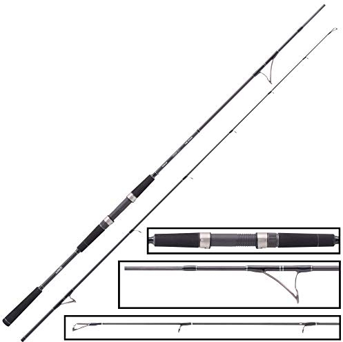 Balzer 71 North Baltic Sea 2,10m 30-125g - Pilkrute zum Meeresangeln auf Dorsche & Seelachse, Meeresrute, Dorschrute, Angelrute