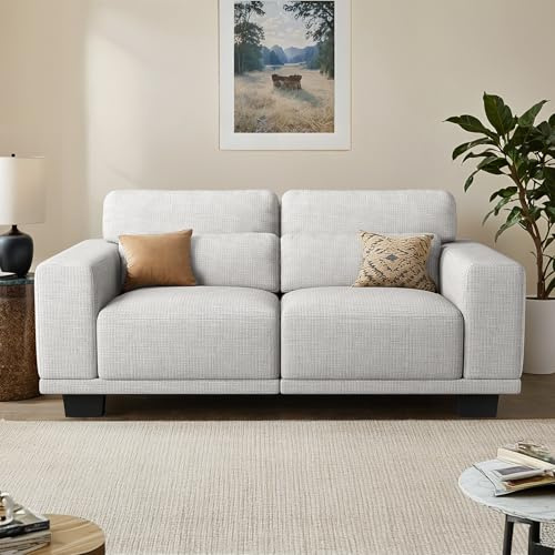 Pipishell 2-Seater Modern Sofa, 65 Loveseat Couch with Wide Armrests & Deep Cushions, Linen Sofas with Removable Washable Covers for Living Room, Grey