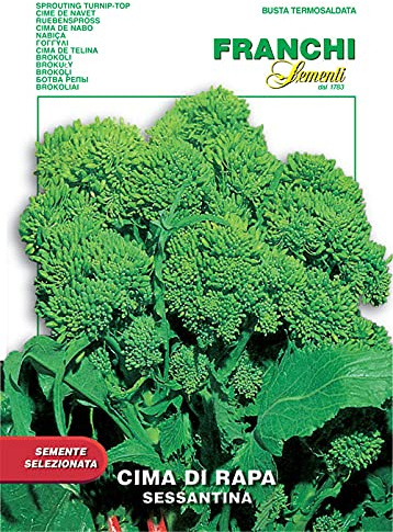 Semi Cima di Rapa Sessantina Sementi 12g