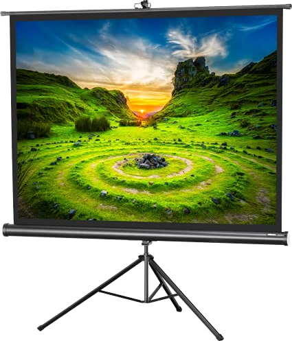 celexon Economy Stativ-Leinwand schwarz 80 | 158x118 cm 4:3 | mobil transportable 4K, Full-HD Beamerleinwand mit manuellem Rollauszug für Heimkino, Büro & Outdoor | inkl. Standfuß + Tragegriff